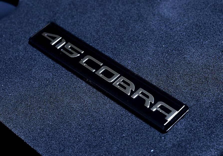 415コブラ　フロントアシストグリップ　200系ハイエース フロントアシストグリップ - 415COBRA